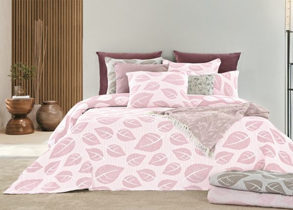 133917933694201450-2025-25-SANTI-ROSA