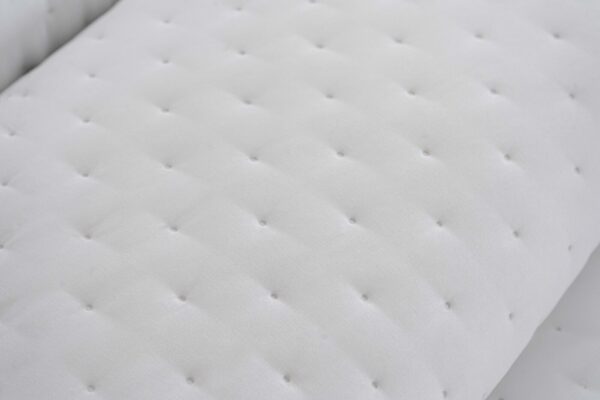 134164905720625333-Moonie_branco_2 Bouty Moonie